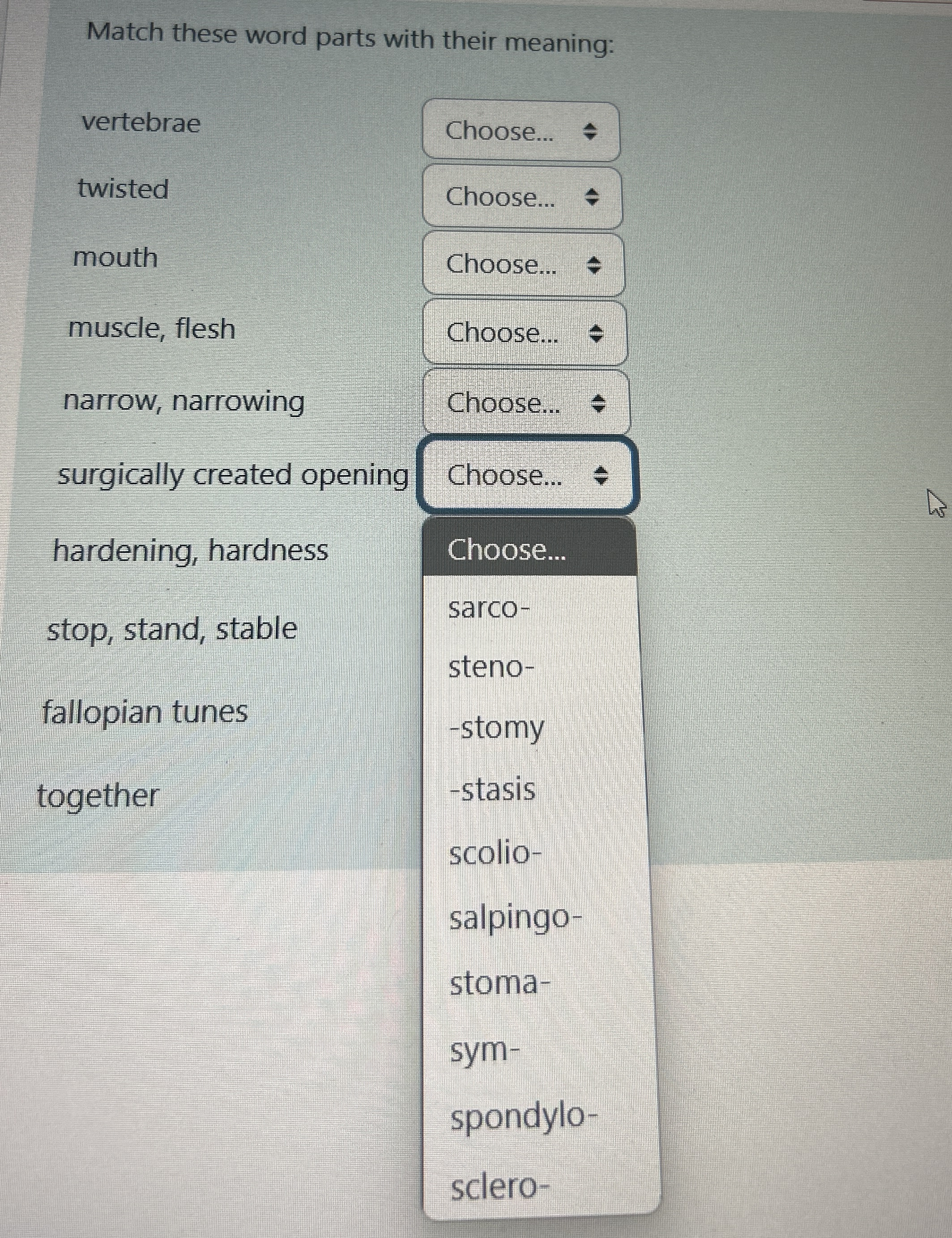 Solved Match these word parts with their | Chegg.com