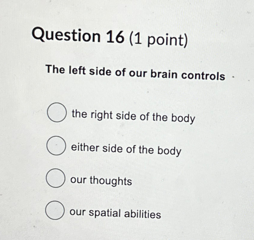 Solved Question 16 (1 ﻿point)The left side of our brain | Chegg.com