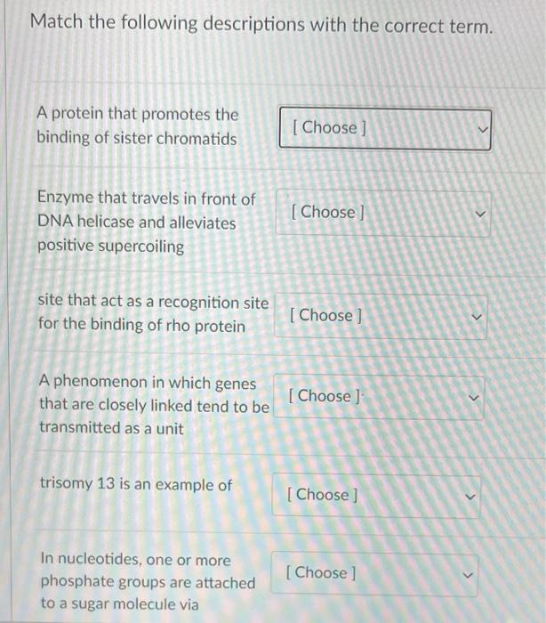 Solved Match the following descriptions with the correct | Chegg.com