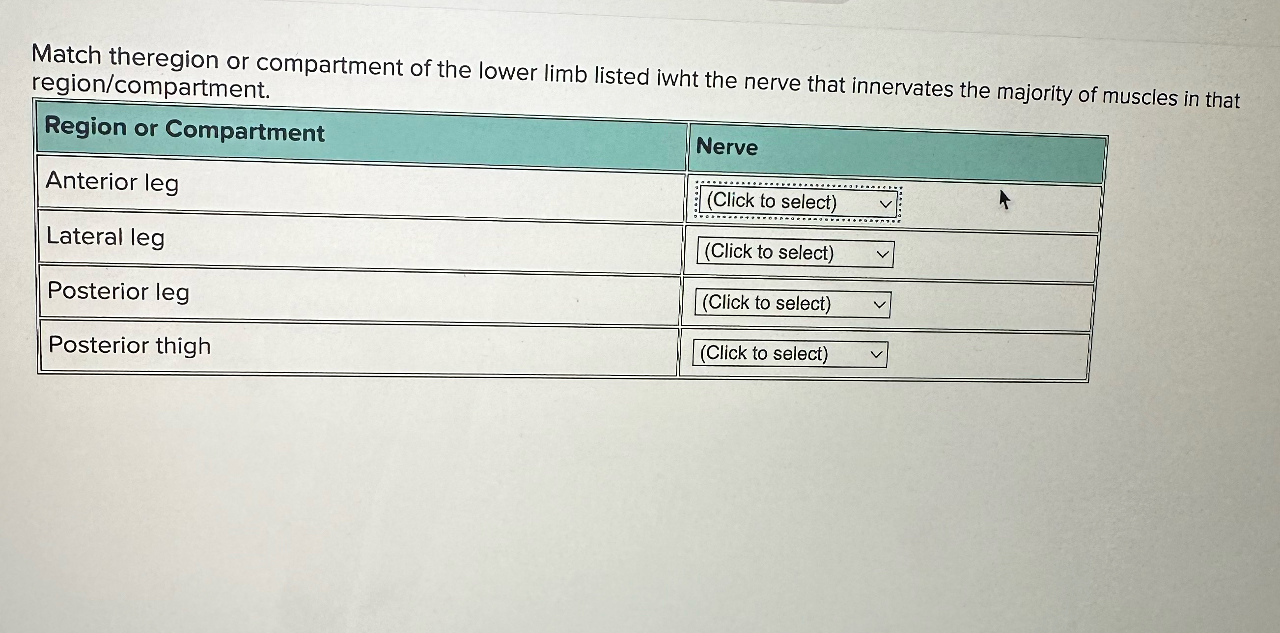 Solved Match theregion or compartment of the lower limb | Chegg.com