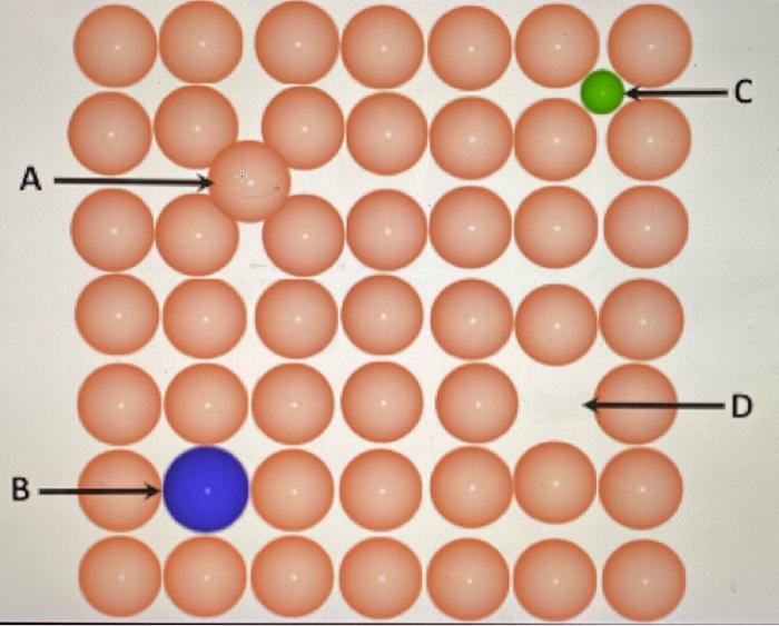 Solved Use the figure shown below to identify the following | Chegg.com