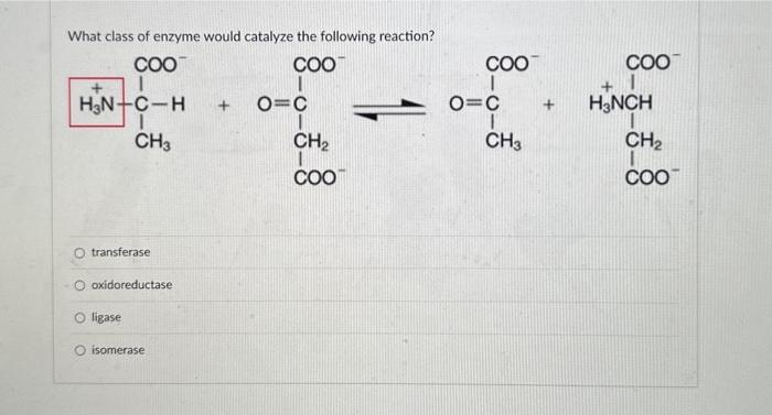 Solved What class of enzyme would catalyze the following | Chegg.com