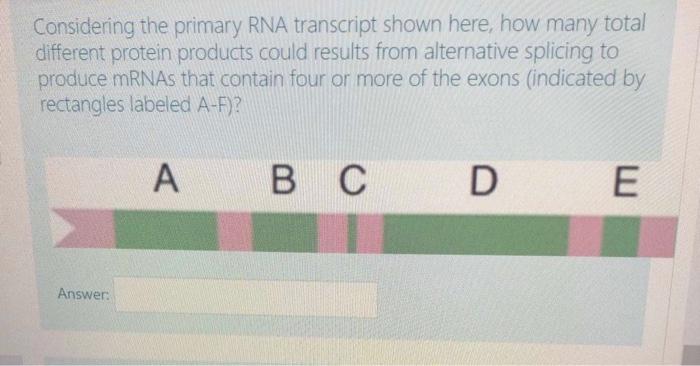 Solved Considering the primary RNA transcript shown here, | Chegg.com