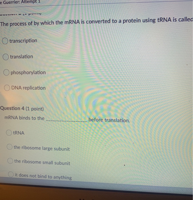 Solved Which of the following are ways in which DNA and RNA | Chegg.com
