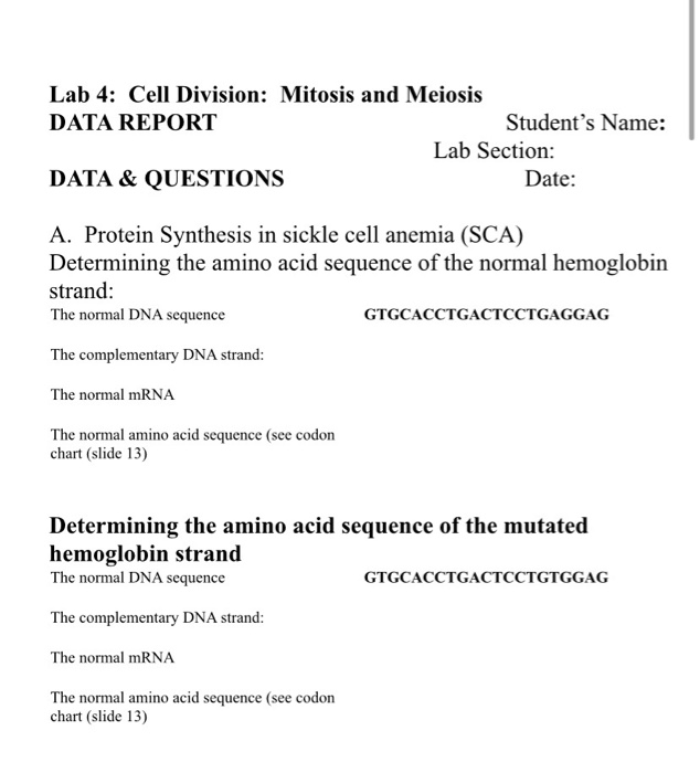 Solved Lab 4: Cell Division: Mitosis and Meiosis DATA REPORT | Chegg.com