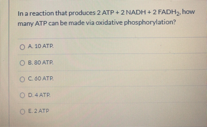 Solved In a reaction that produces 2 ATP + 2 NADH + 2 FADH2, | Chegg.com