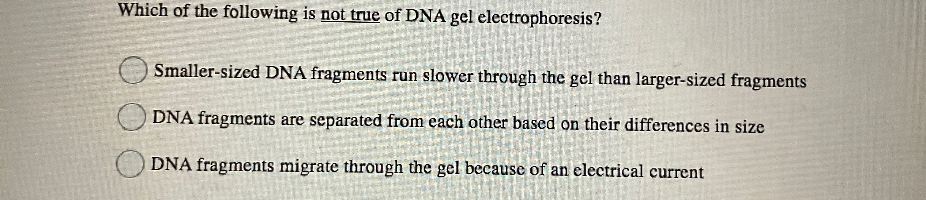 Solved Which of the following is not true of DNA gel | Chegg.com