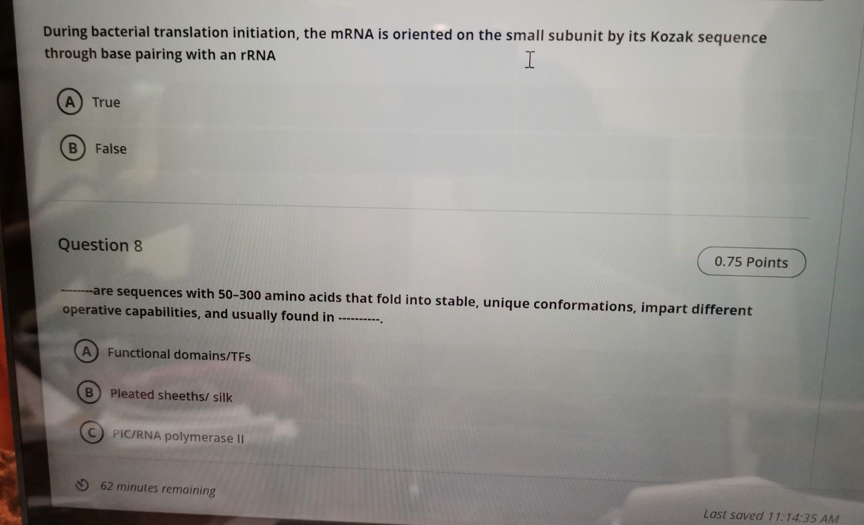 Solved During bacterial translation initiation, the mRNA is | Chegg.com