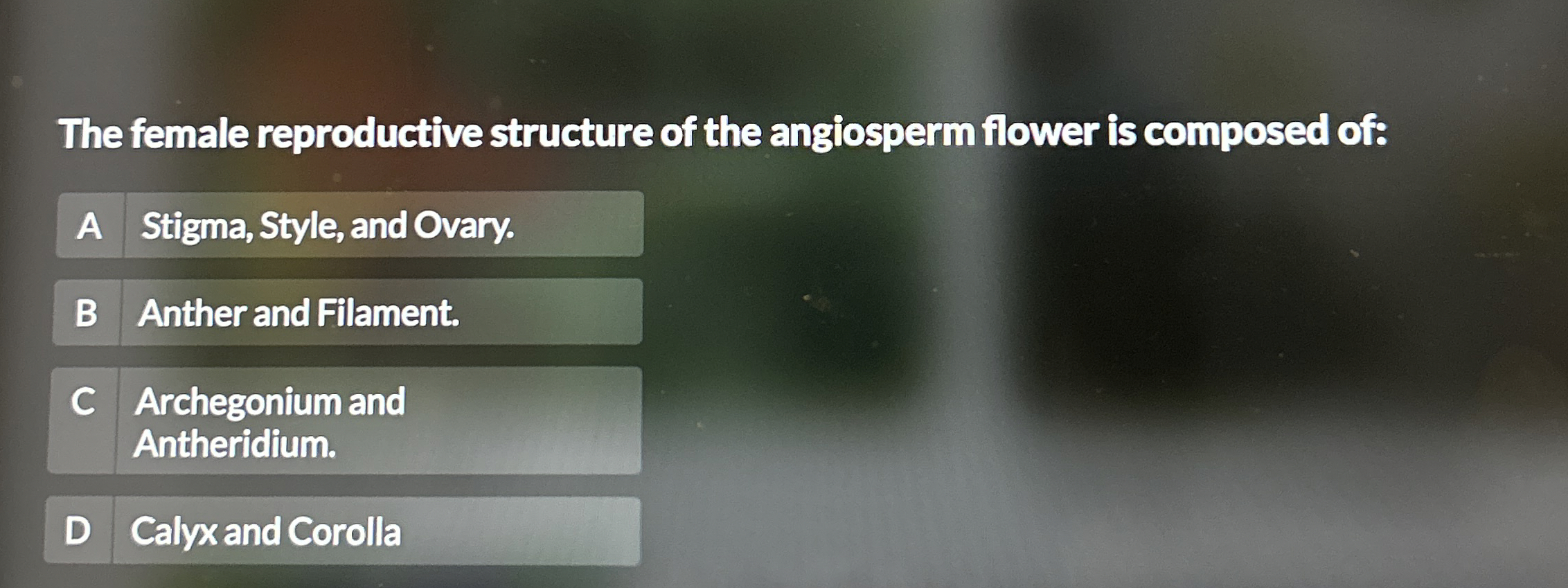 Solved The female reproductive structure of the angiosperm