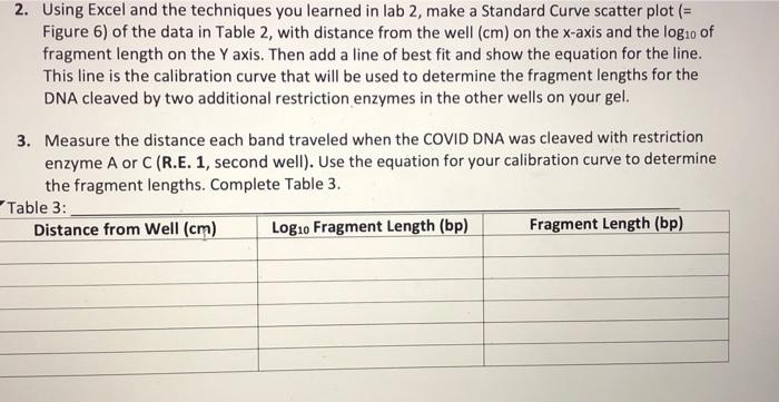 Determining the Length of DNA Fragments _LOD 4: | Chegg.com