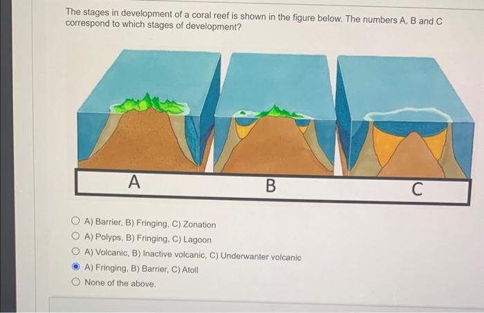 Can you explain and describe each of the three stages of coral reef  development. How does this sequence tie into the plate tectonic model?