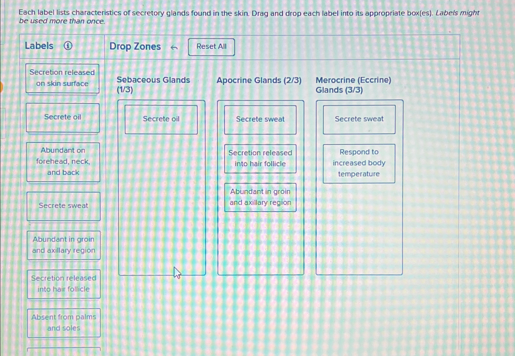 Solved Each label lists characteristics of secretory glands | Chegg.com