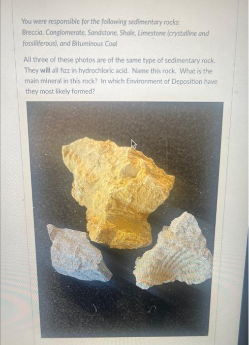 Solved You were responsible for the following sedimentary | Chegg.com
