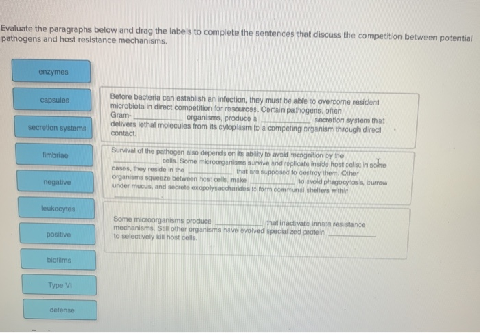 solved-evaluate-the-paragraphs-below-and-drag-the-labels-to-chegg