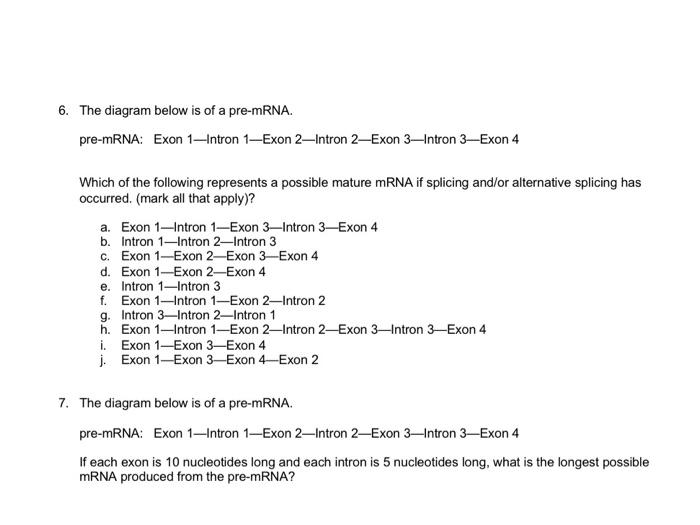 Solved 3. Below is a given DNA molecule. The +1 site is | Chegg.com