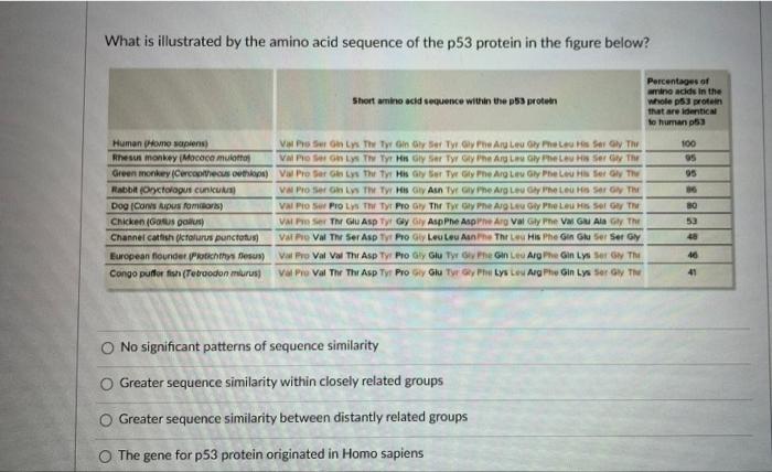 Solved What is illustrated by the amino acid sequence of the | Chegg.com
