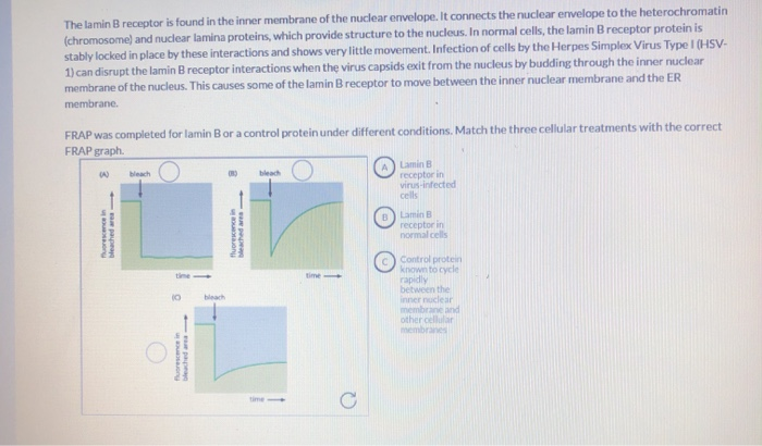 Solved 03 Question 2 Points Watch The Animation About The Chegg Com
