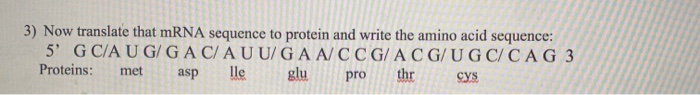 Solved 3) Now translate that mRNA sequence to protein and | Chegg.com