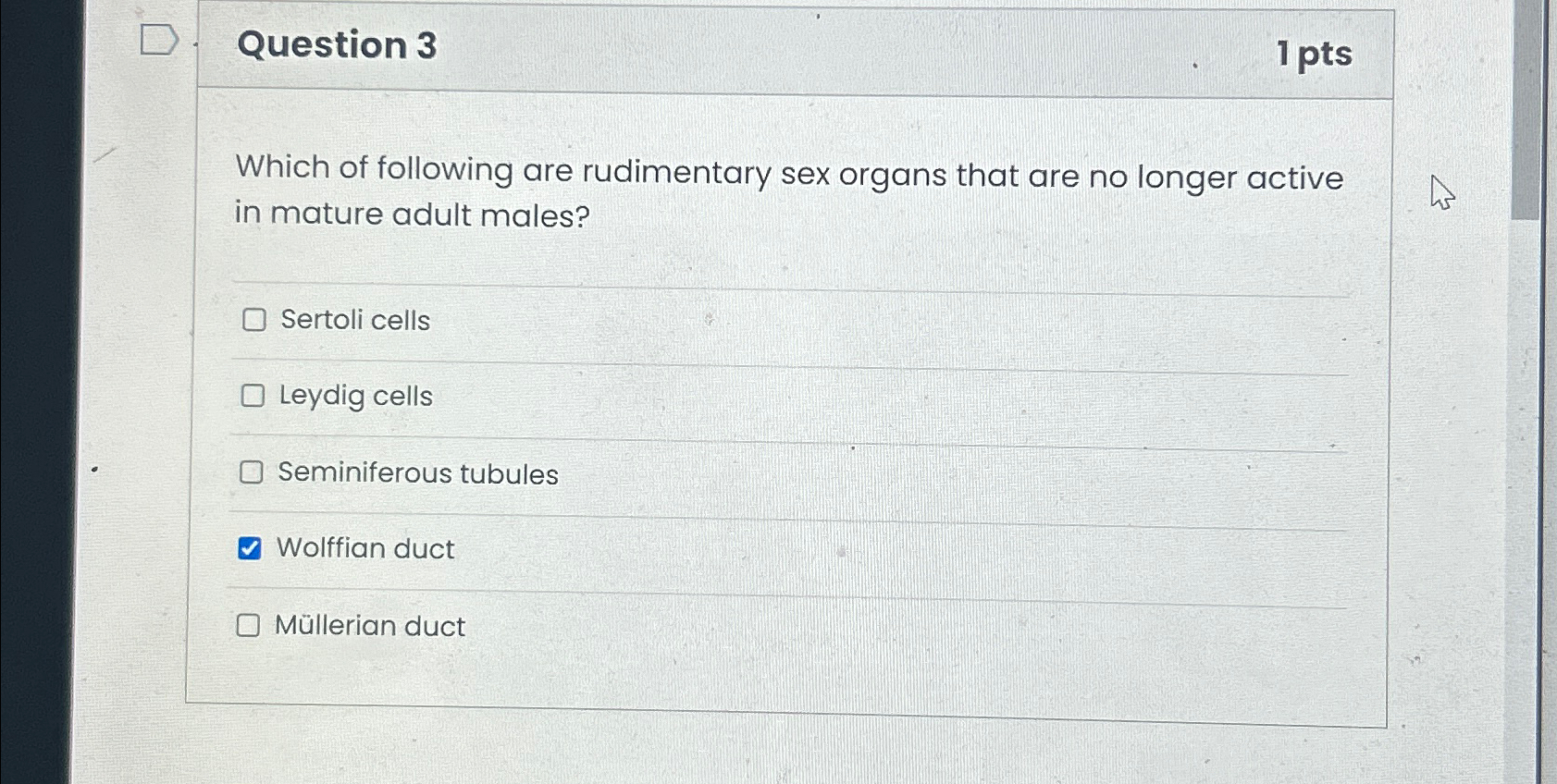 Solved Question 31 ﻿ptsWhich of following are rudimentary | Chegg.com