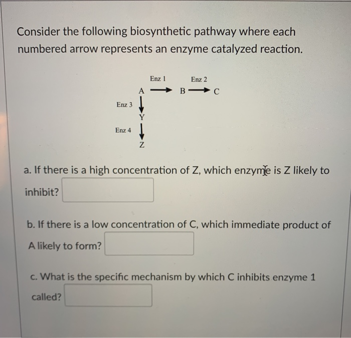 Solved Consider the following biosynthetic pathway where | Chegg.com
