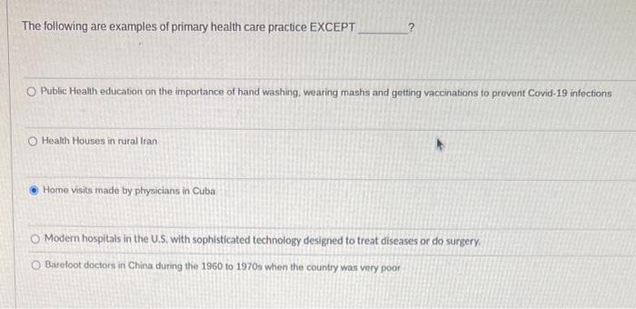 essay questions on primary health care