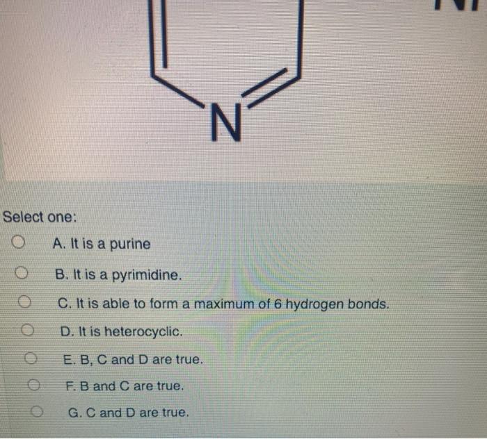 Solved Which Of The Following Is True Regarding The Molecule