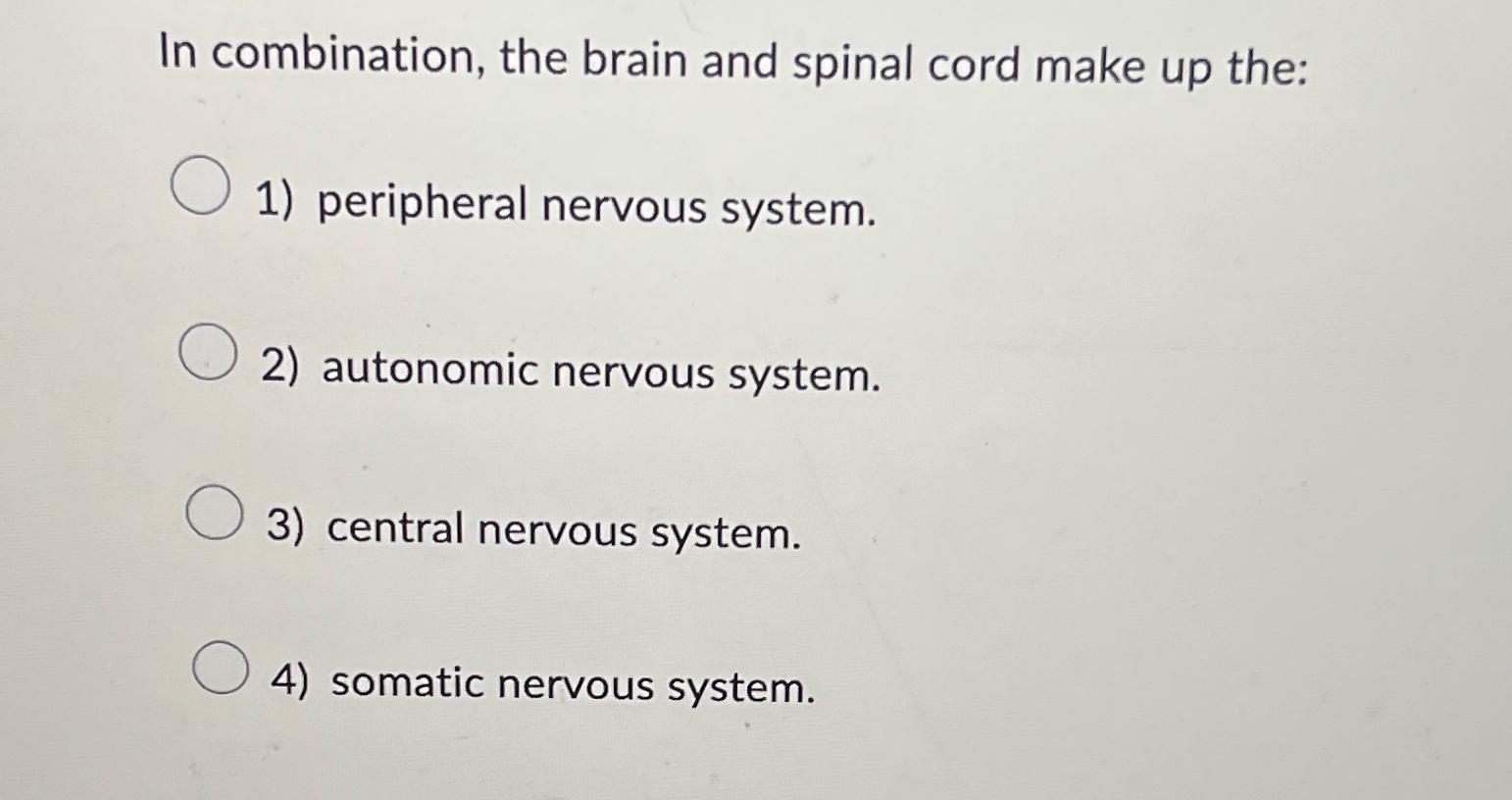 Solved In combination, the brain and spinal cord make up | Chegg.com