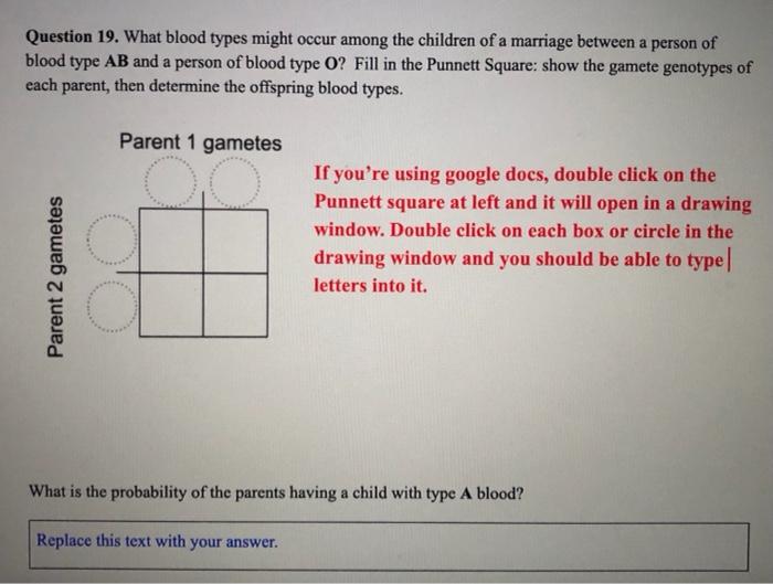 solved-question-19-what-blood-types-might-occur-among-the-chegg