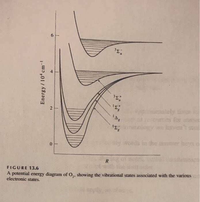 Solved 10. Answer the questions concerning the following | Chegg.com
