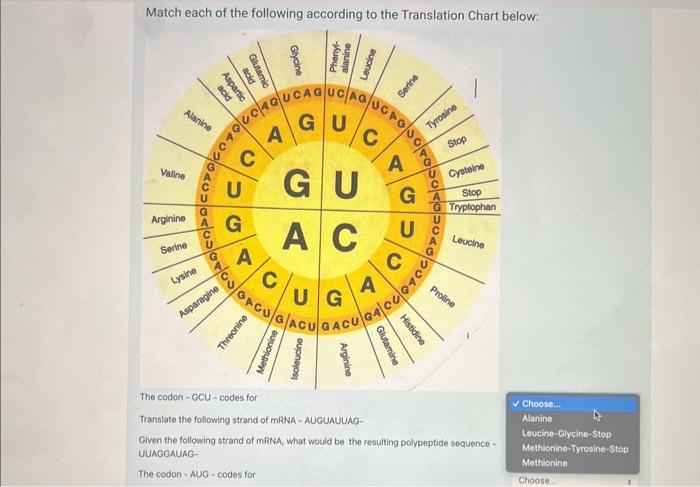 Chart Translation! *I've seen this pop up lately so I thought it'd be nice  to translate it. Enjoy! : r/BananaFish