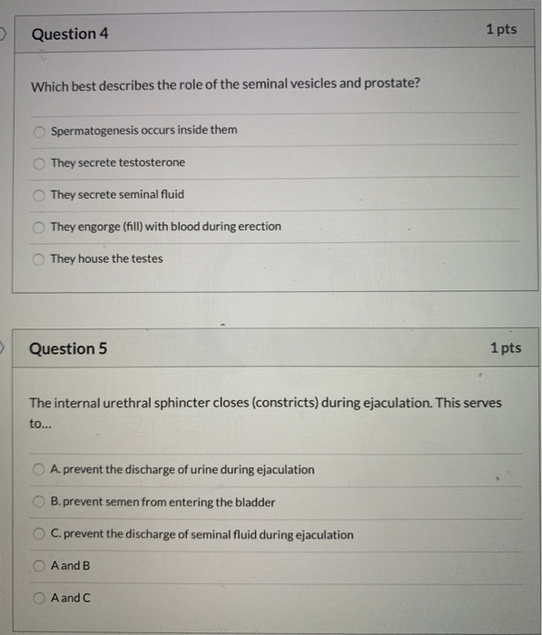 Solved Question 4 1 Pts Which Best Describes The Role Of The