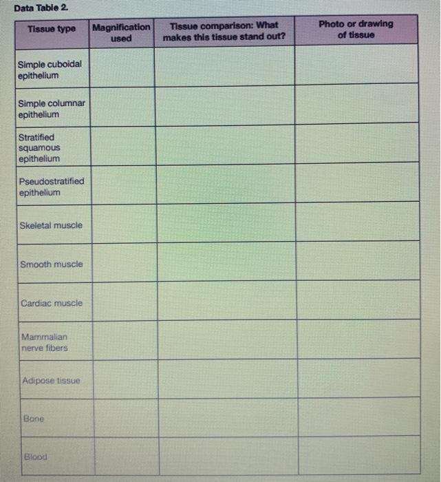 Solved Data Tablo 2 Tissue type Magnification used Tissue | Chegg.com