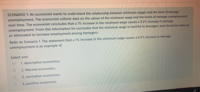 Solved SCENARIO 1: An economist wants to understand the | Chegg.com