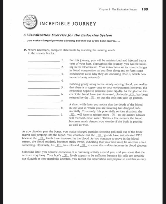 the incredible journey worksheet answers