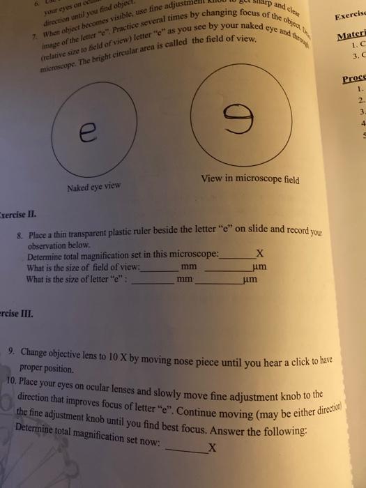 eye and image of the lettere