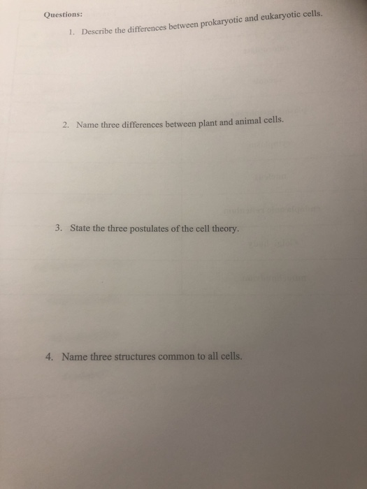 Solved Questions: 1. Describe the differences between | Chegg.com