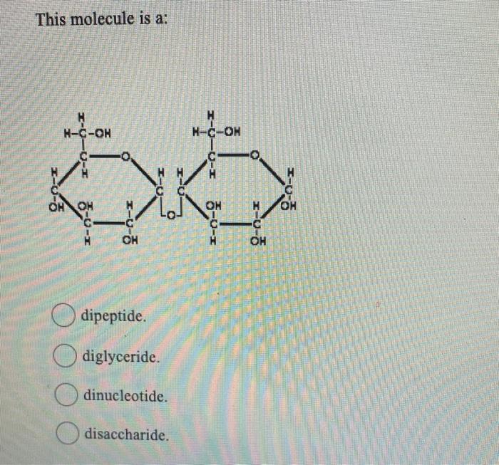 Solved One of the functions of the structure labelled X in | Chegg.com