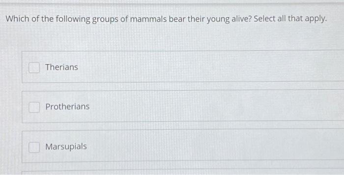 Solved Which of the following groups of mammals bear their | Chegg.com