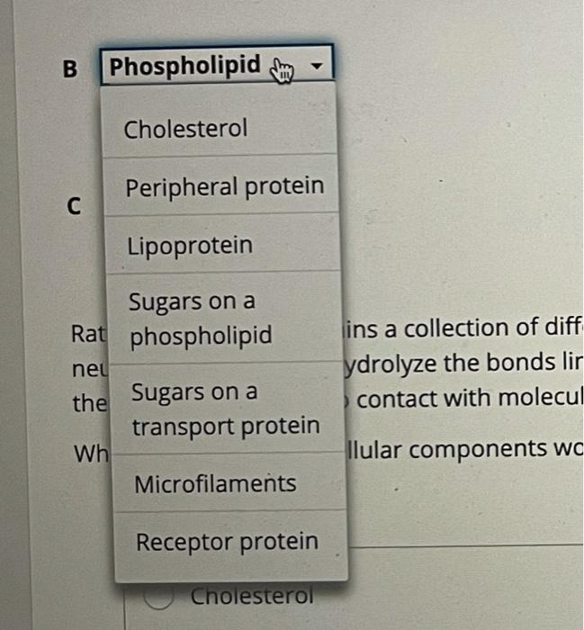 Solved Need Help Confirming Labels For This Diagram. Second | Chegg.com