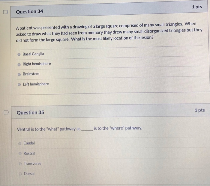 Solved Question 34 1 pts A patient was presented with a | Chegg.com