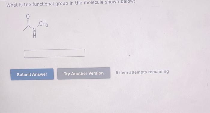 Solved What is the functional group in the molecule shown | Chegg.com