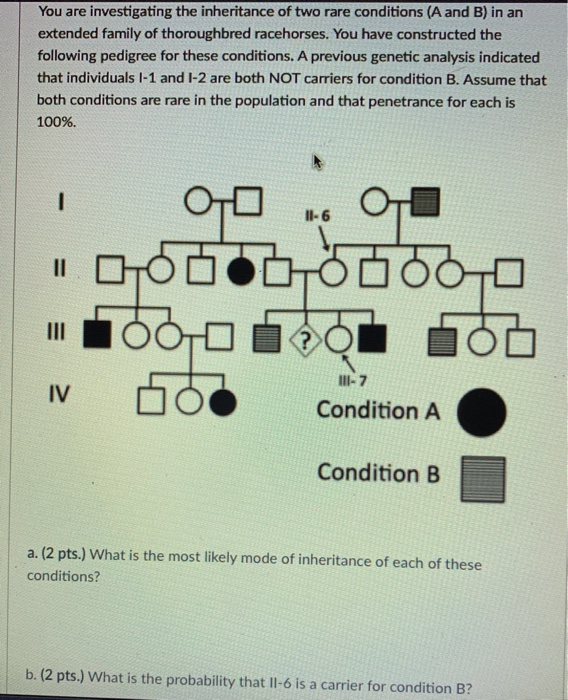 Solved You are investigating the inheritance of two rare | Chegg.com