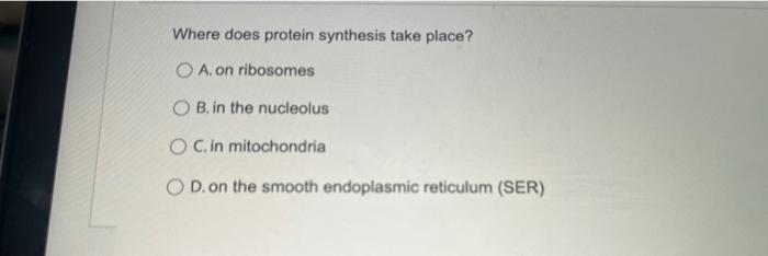 Where does protein synthesis take place?
A. on ribosomes
B. in the nucleolus
C. in mitochondria
D. on the smooth endoplasmic 