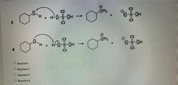 Solved Choose The Reaction With The Correct Arrows And Pr Chegg Com