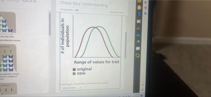 Solved Which of the graphs best depicts the evolution of | Chegg.com