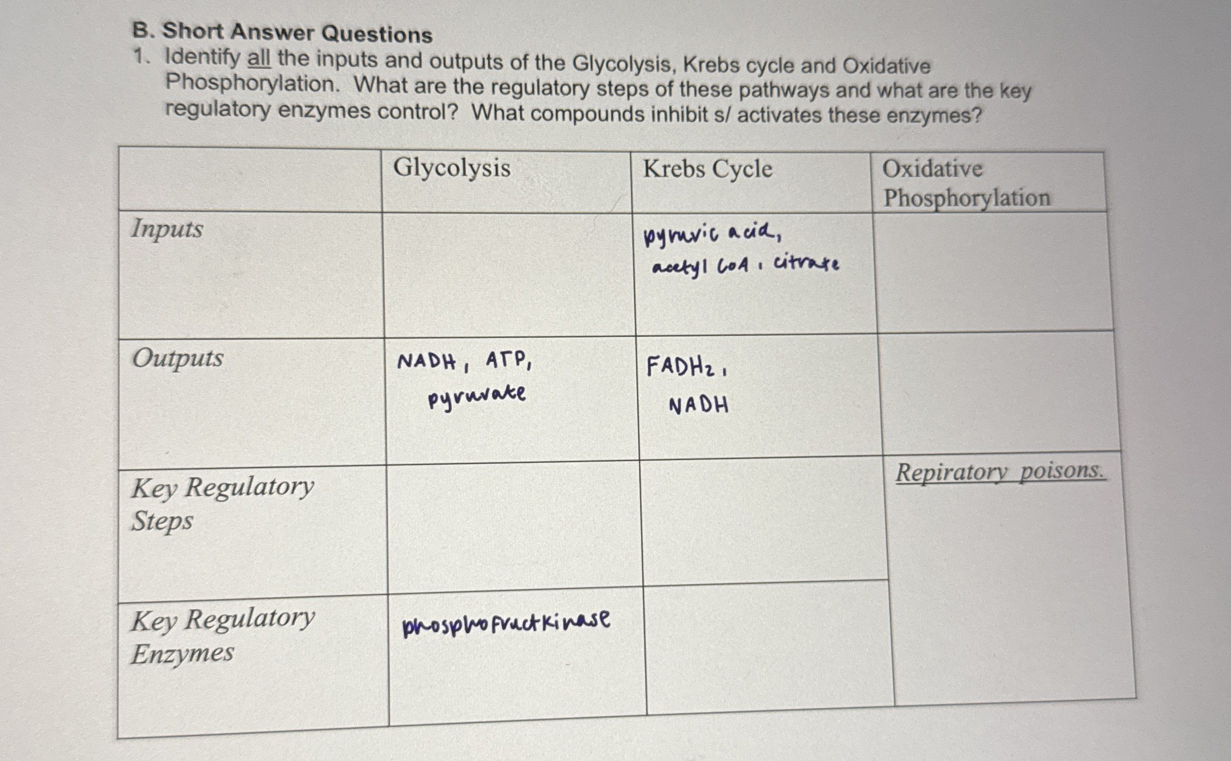 B. ﻿Short Answer QuestionsIdentify all the inputs and