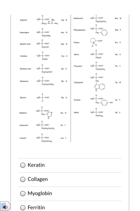 Solved What is the N-terminal amino acid in the tetrapeptide | Chegg.com
