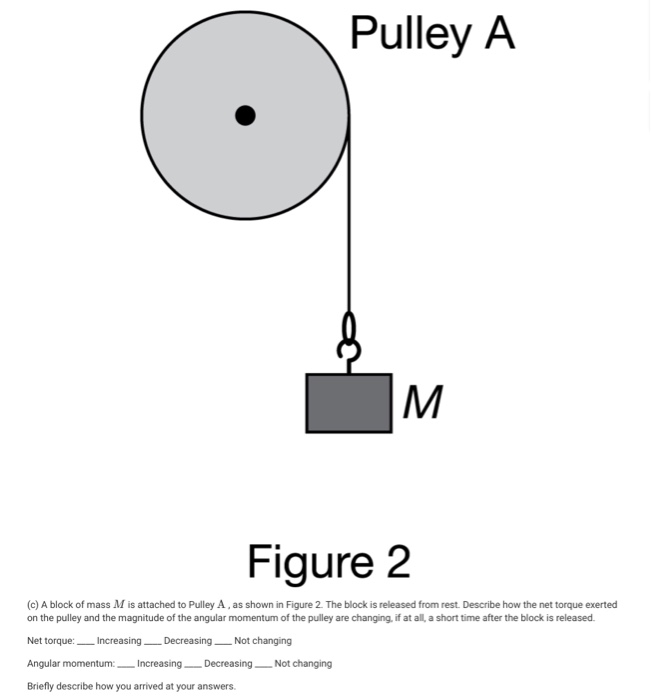 Solved (a) Two identical spring scales are attached to a