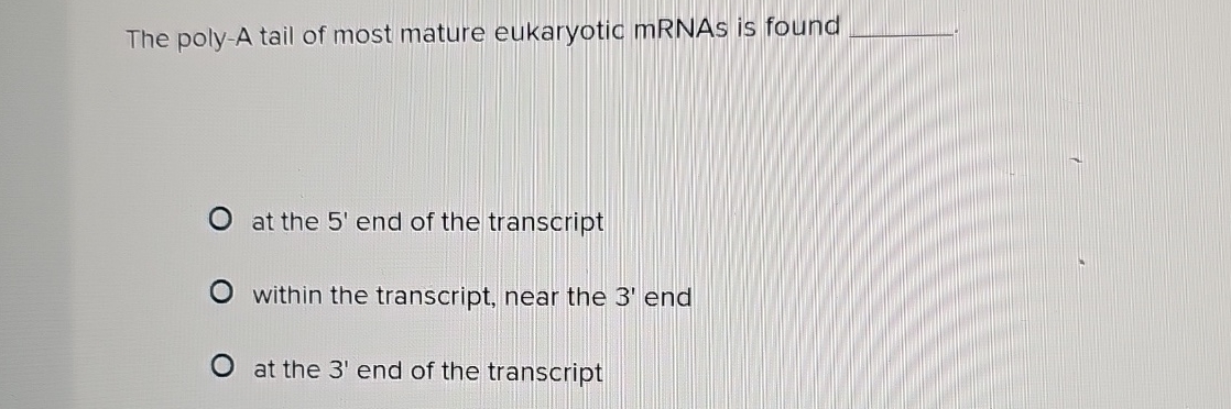 Solved The poly-A tail of most mature eukaryotic mRNAs is | Chegg.com