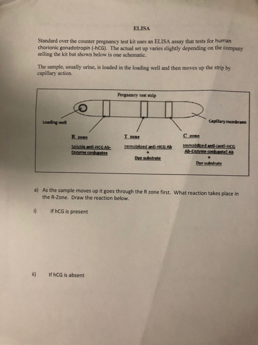 Solved ELISA Standard over the counter pregnancy test kit